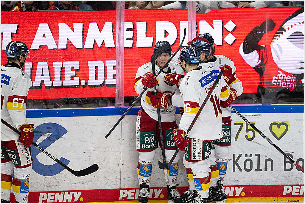PENNY DEL 1; Kölner Haie - Düsseldorfer EG ; Köln, 16.02.2025